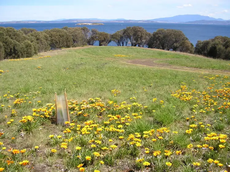Fourth view of Homely land listing, 3 Linden Road, Primrose Sands TAS 7173