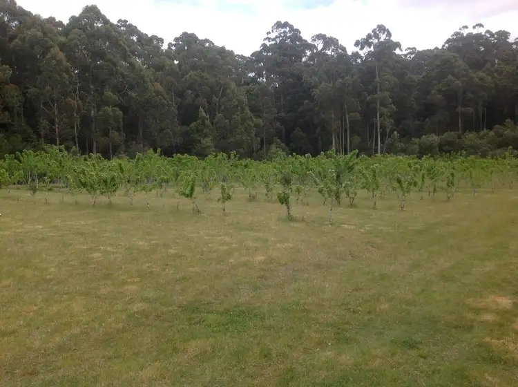 Seventh view of Homely rural property listing, 61 Masons Road, Milabena TAS 7325