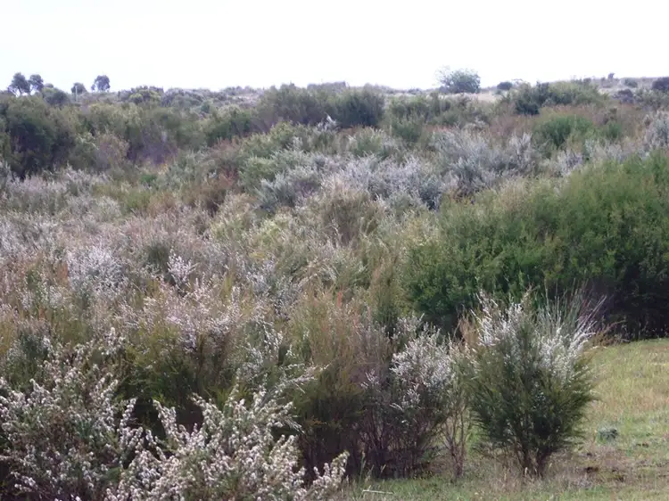 Third view of Homely rural property listing, Lot 33 Richardson Road, Northcliffe WA 6262
