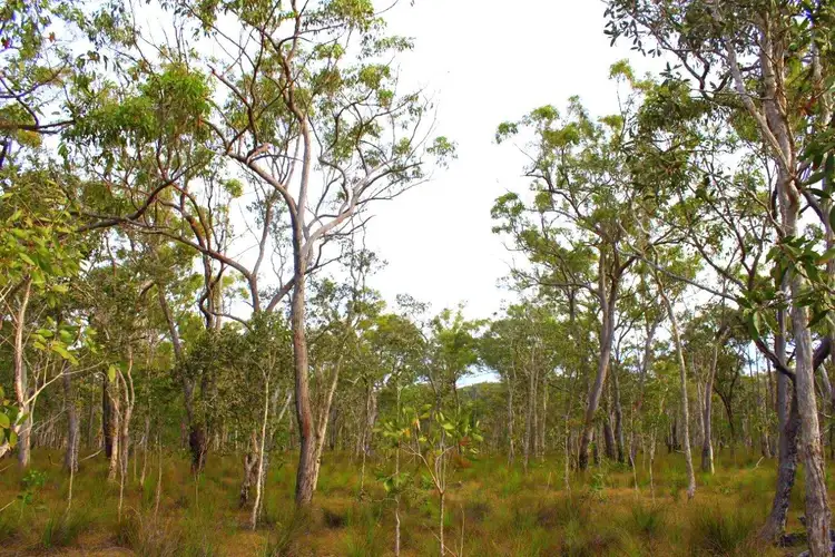 Seventh view of Homely land listing, Lot 140 Murphy Road, Captain Creek QLD 4677