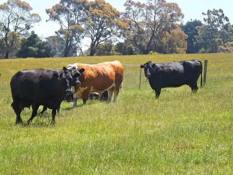 Third view of Homely rural property listing, Lot 3 Weirs Road, Narracan VIC 3824