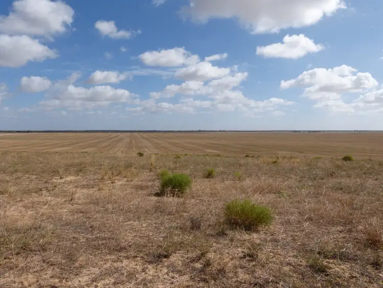 Fourth view of Homely rural property listing, 49 Gurrai Road, Parilla SA 5303
