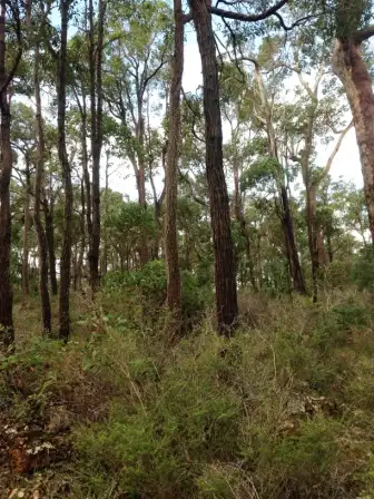 Third view of Homely land listing, 14 (Lot 59) Timber Court, Cowaramup WA 6284