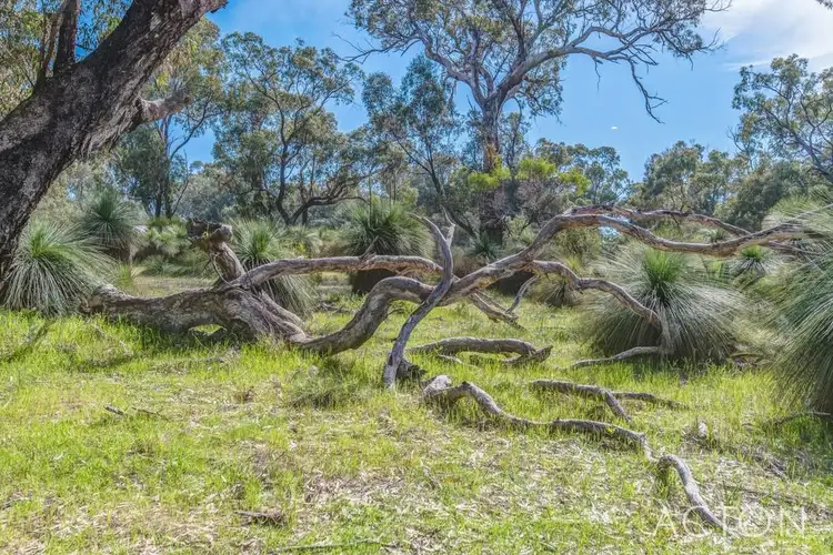 Fifth view of Homely land listing, 16 Timber Grove, Two Rocks WA 6037