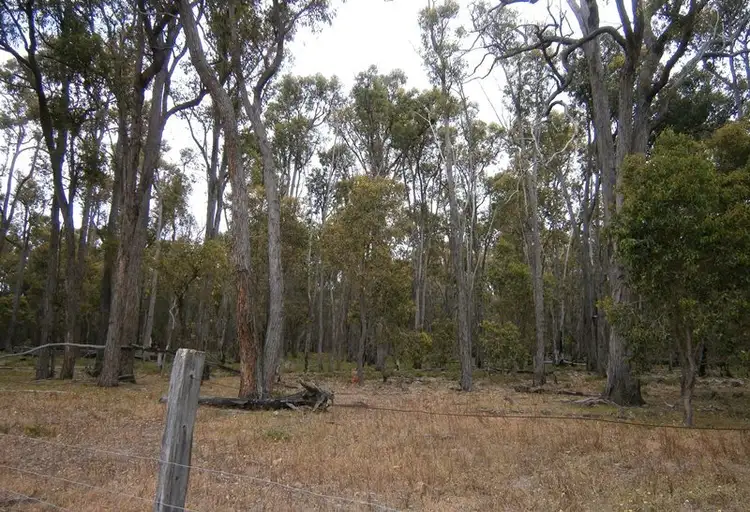 Third view of Homely rural property listing, Lots Coalfields Highway, Muja WA 6225