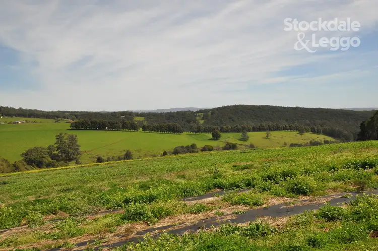 Seventh view of Homely land listing, 271 Ure Road, Gembrook VIC 3783