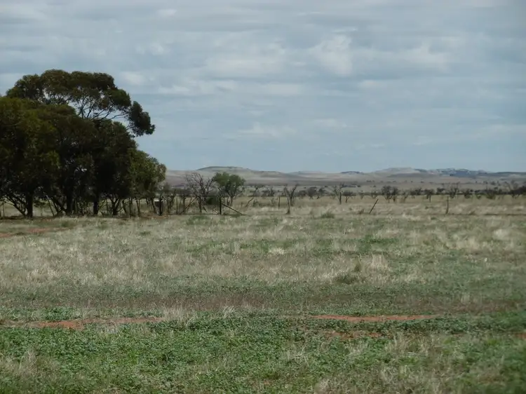 Fourth view of Homely house listing, 111 Johnburgh Road, Orroroo SA 5431