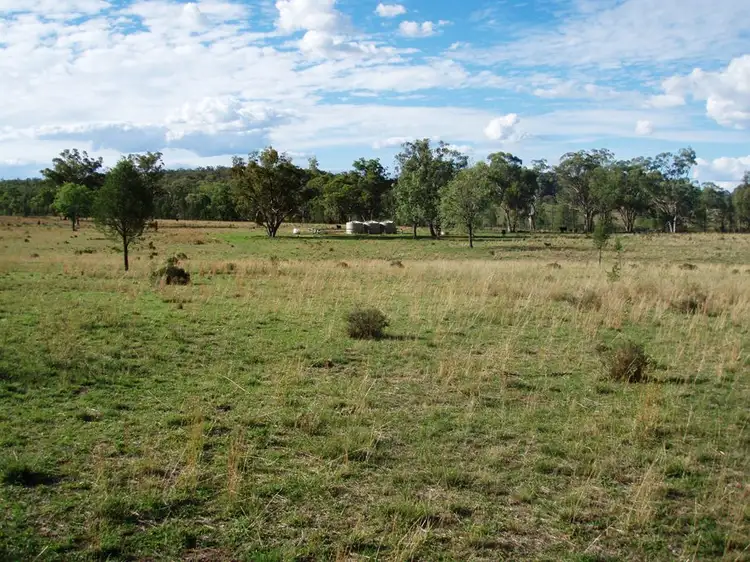 Sixth view of Homely rural property listing, 1095 Bedwell Downs, Wallangra NSW 2360