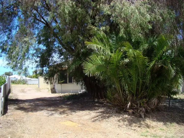 Fourth view of Homely house listing, 18 Calman Street, Nulsen WA 6450