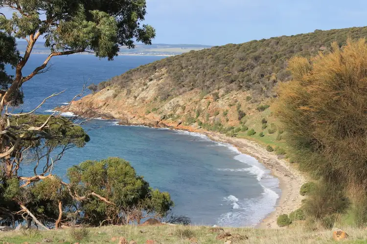 Fifth view of Homely rural property listing, Sec 94 Point Morrison Rd, Haines SA 5223