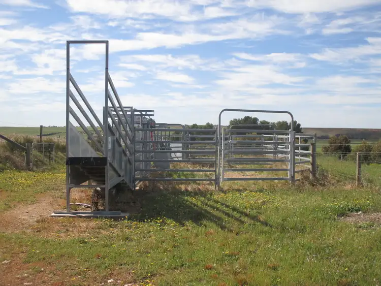Fourth view of Homely rural property listing, 716A & 716B Kuchel Drive, Murray Bridge SA 5253