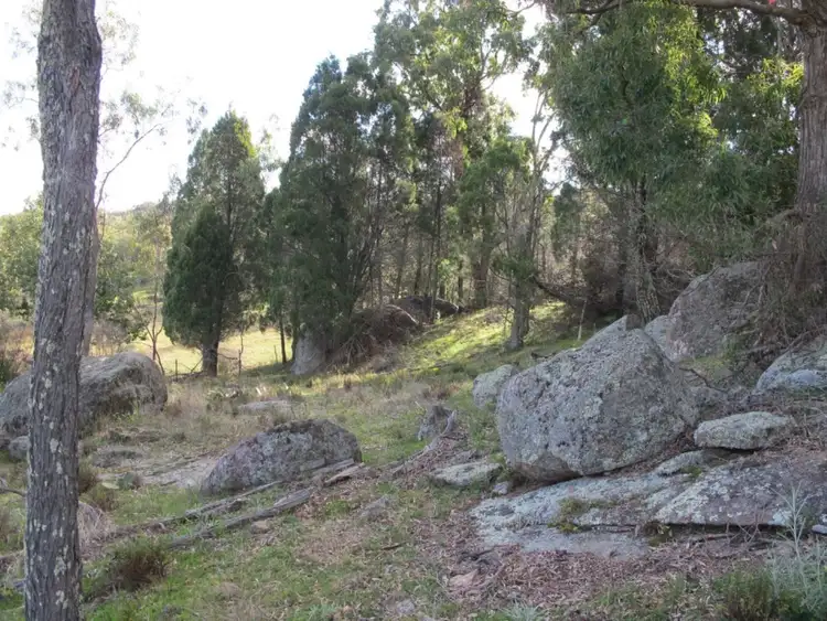 Fifth view of Homely rural property listing, 'Bobadah' 1479 Ulan Road, Mudgee NSW 2850