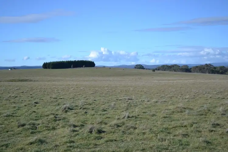 Fifth view of Homely rural property listing, Lot 99 Coppabella Rd, Rosewood NSW 2652