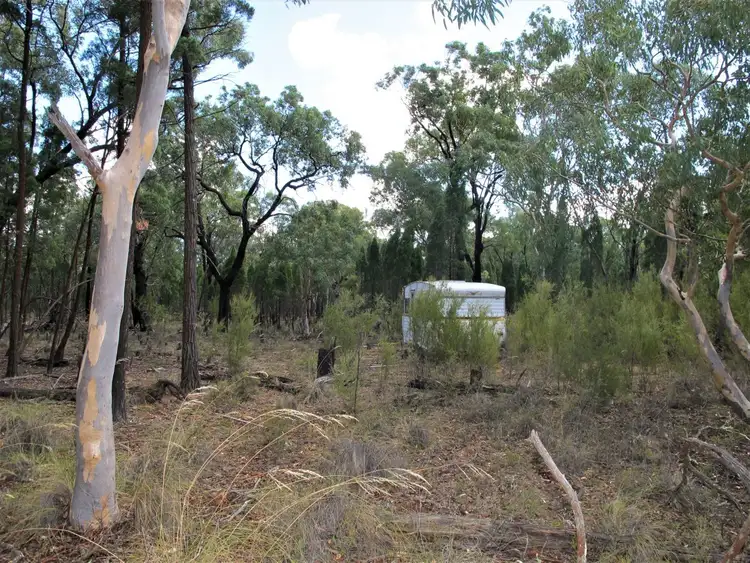 Second view of Homely rural property listing, 58 Pine Close, Mudgee NSW 2850