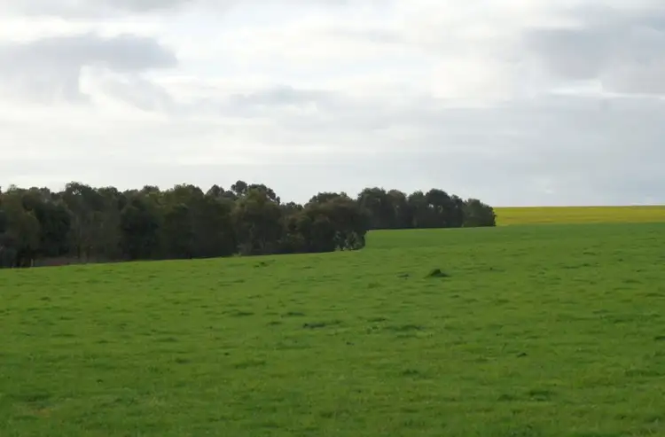 Seventh view of Homely rural property listing, 966 Glenthompson-Caramut Road, Caramut VIC 3274