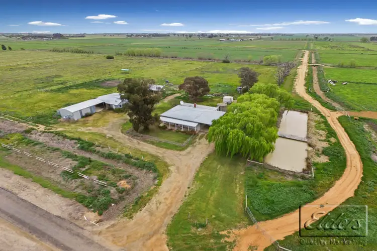 Second view of Homely rural property listing, 79 Dingee-Serpentine Road, Dingee VIC 3571