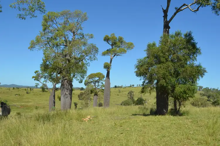 Sixth view of Homely rural property listing, Address available on request