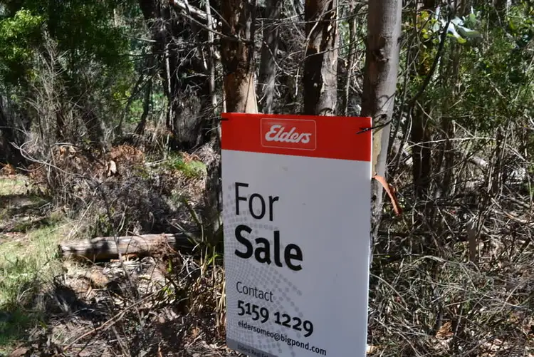 Seventh view of Homely rural property listing, 531 McKinnons Road, Benambra VIC 3900