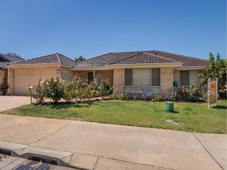 Main view of Homely house listing, 38 Saffron Loop, Falcon WA 6210