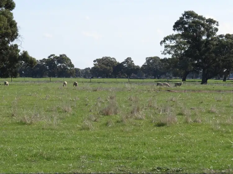 Seventh view of Homely rural property listing, RMB 185 Hetherington Road, Deniliquin NSW 2710