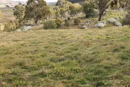 Third view of Homely rural property listing, 107 Emu Swamp Road, Orange NSW 2800