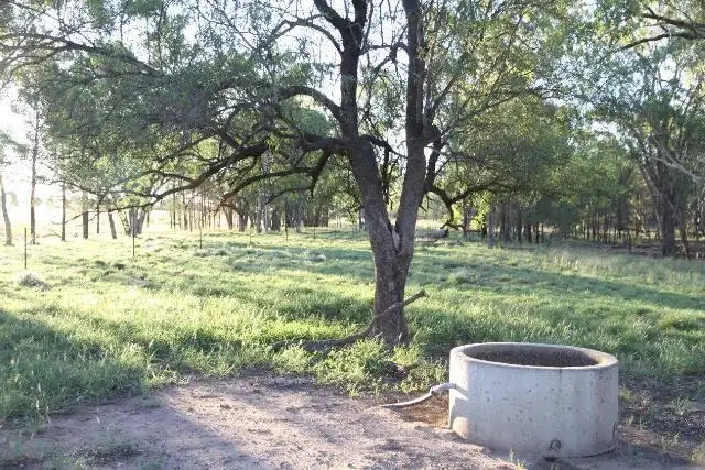 Seventh view of Homely rural property listing, 1941 SEVENTEEN MILE LANE, Roma QLD 4455