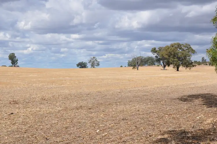 605 Angle Road, Murchison VIC 3610
