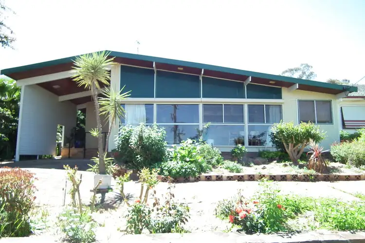 19 ORTELLA STREET, Griffith NSW 2680