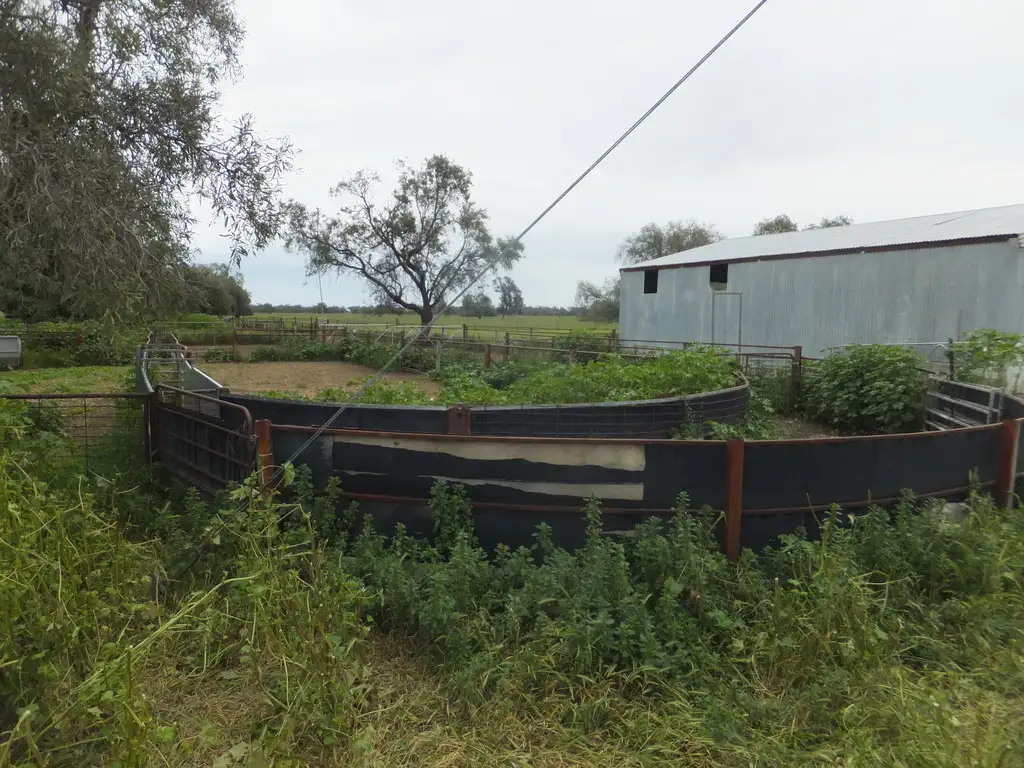 Main view of Homely rural property listing, 153 LEEWANG ROAD, Forbes NSW 2871