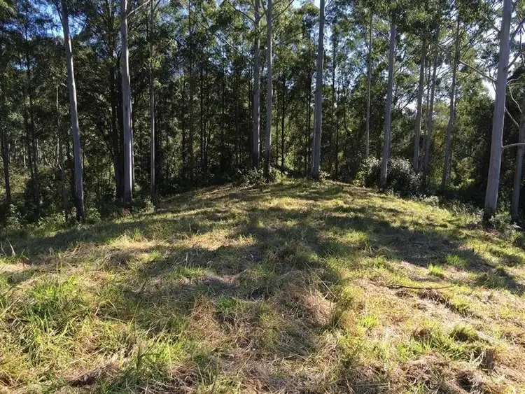 Sixth view of Homely land listing, 3850 Kyogle Road, Mount Burrell NSW 2484