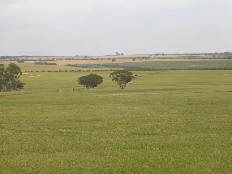 Main view of Homely rural property listing, LOCATION 18370 BROWN RD, Kellerberrin WA 6410