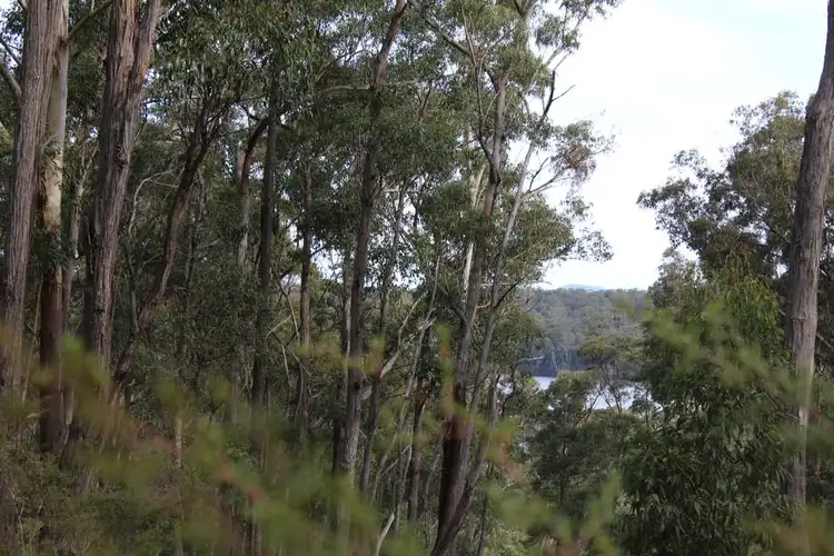 Fifth view of Homely land listing, Lot 19 Old Nelligen Road, Nelligen NSW 2536