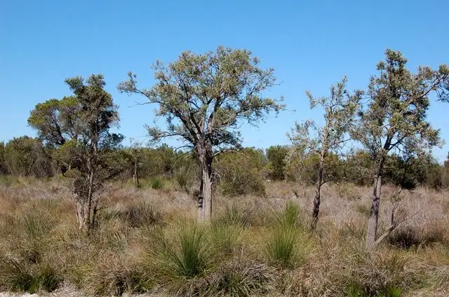 Fourth view of Homely land listing, Lot 494 Nicholson Road, Oakford WA 6121