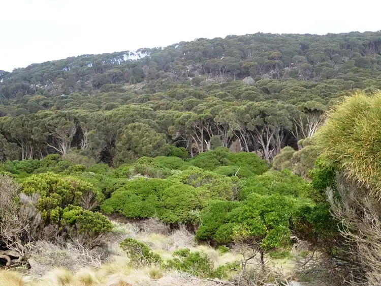 Fourth view of Homely land listing, PID 7557661 North East River Road, Flinders Island TAS 7255