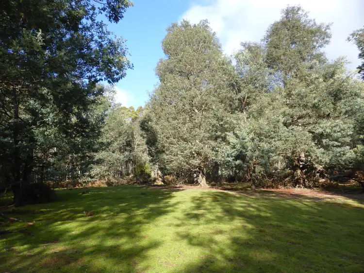 Lot 1 Hanlons Road, Ellendale TAS 7140