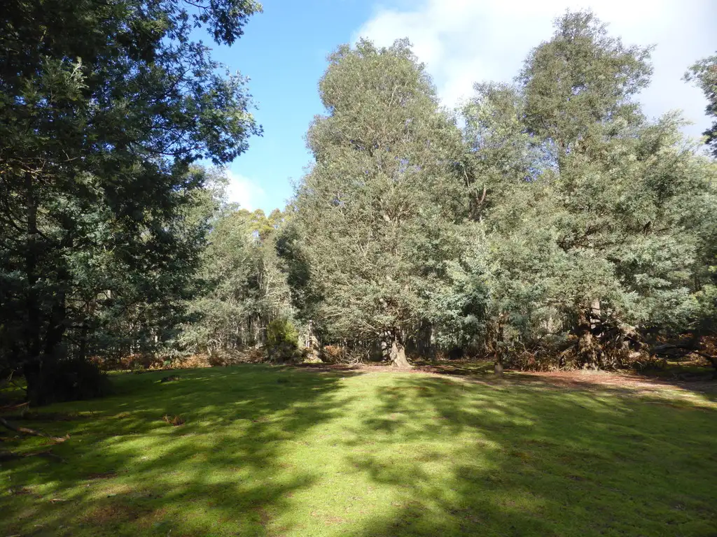 Main view of Homely land listing, Lot 1 Hanlons Road, Ellendale TAS 7140