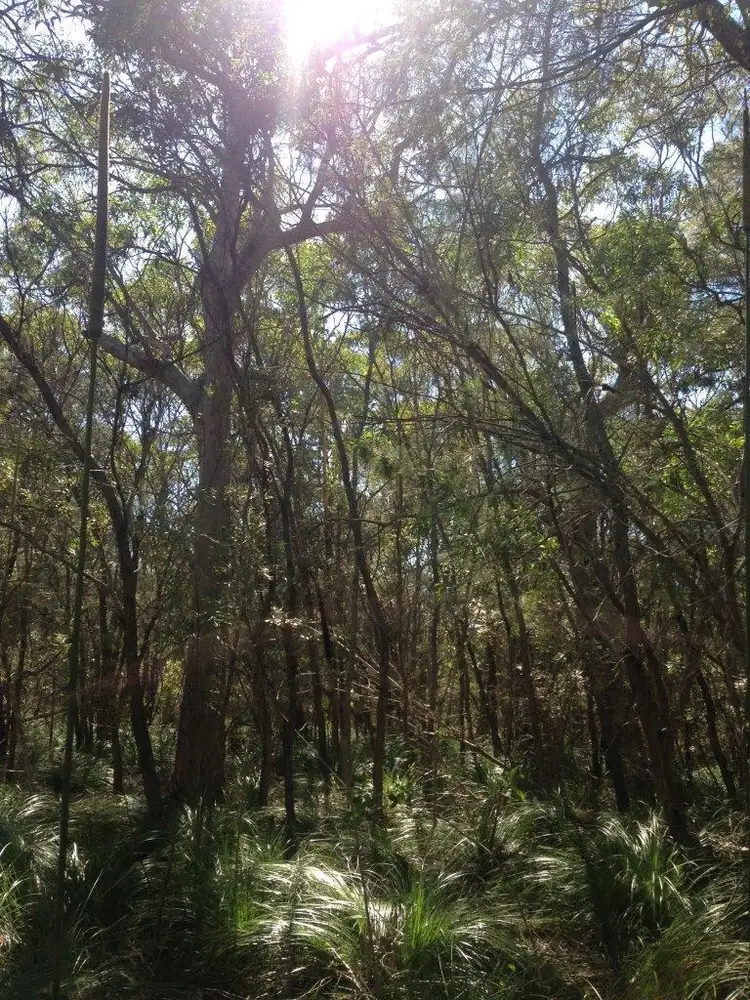 Second view of Homely land listing, Lot 382 Whyte Cres, Agnes Water QLD 4677