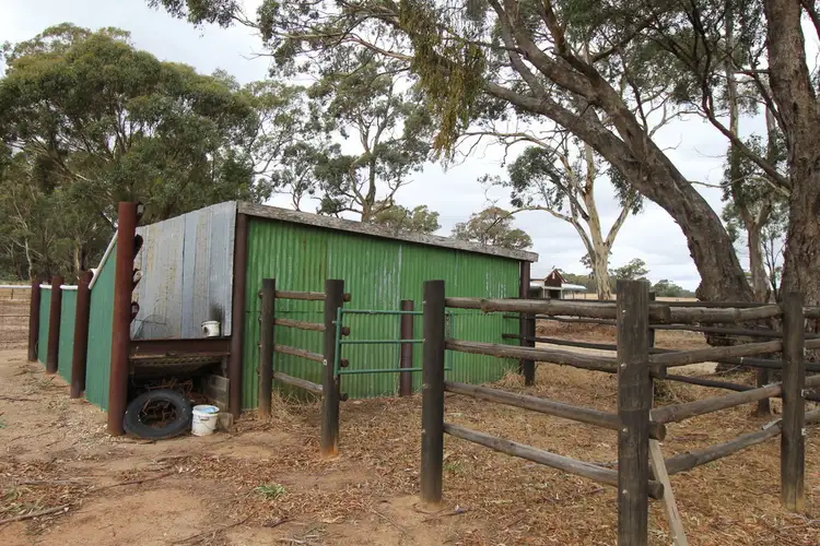 Fifth view of Homely house listing, 51 Mitchell Road, Avoca VIC 3467