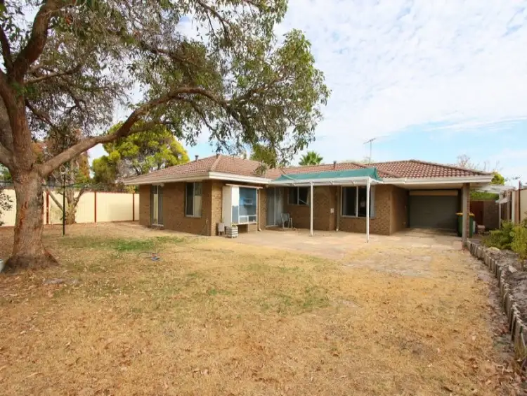 51 Wattle Drive, Morley WA 6062