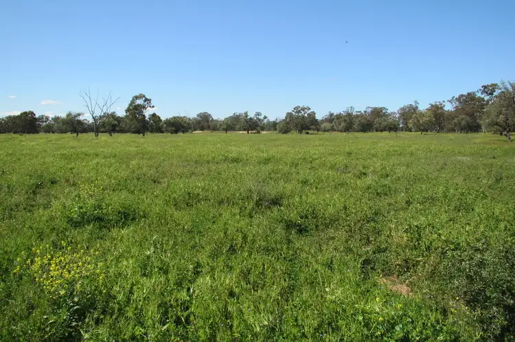 Second view of Homely rural property listing, Address available on request