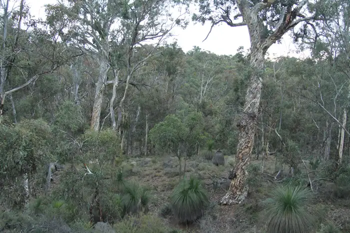 Sixth view of Homely house listing, 104 Beach Road, Chittering WA 6084