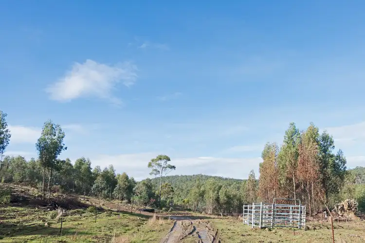 Fifth view of Homely land listing, Lot 1/1500 Nugent Road, Nugent TAS 7172