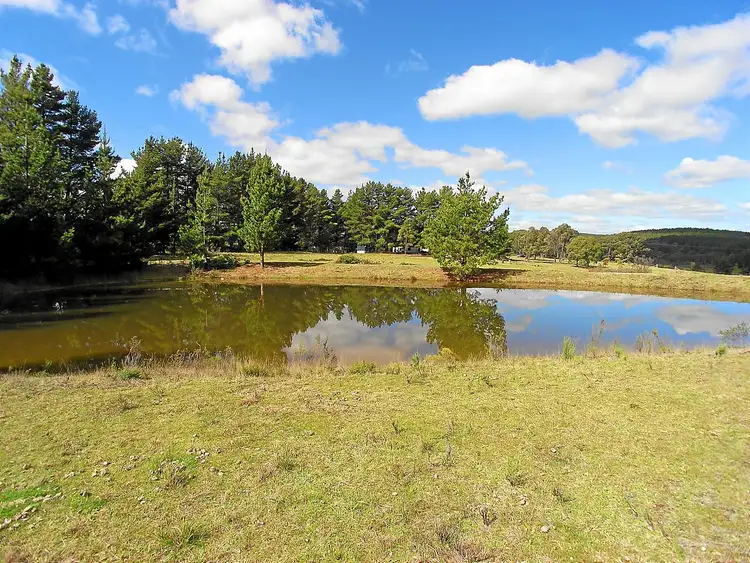 Fourth view of Homely rural property listing, 250 Archer Road, Mullion Creek Via, Orange NSW 2800