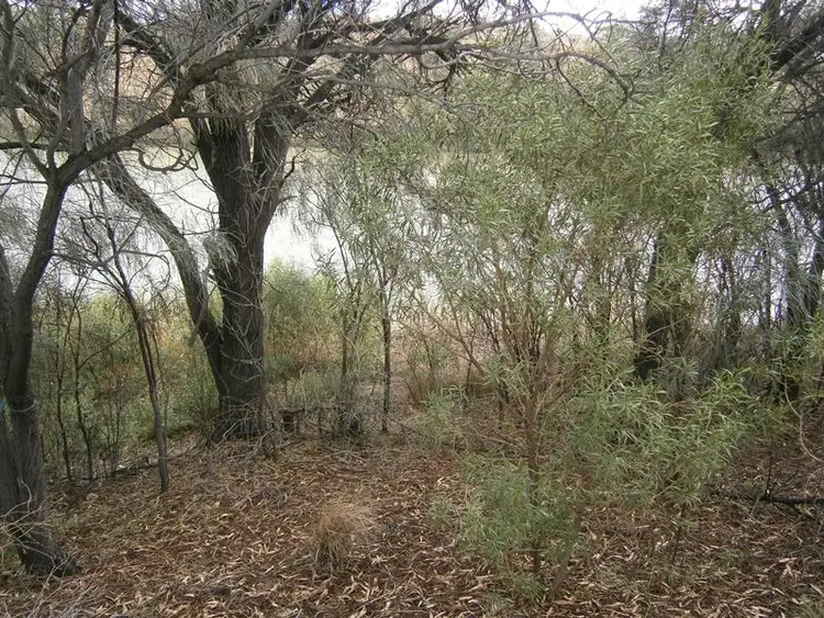 Second view of Homely house listing, 120 Kingsriverside Drive, Cadell SA 5321