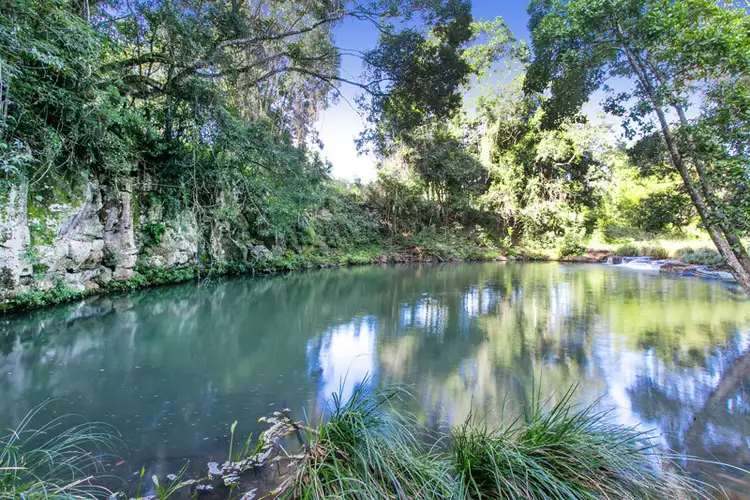 Sixth view of Homely rural property listing, 98 Rishworth Lane, Brooklet NSW 2479