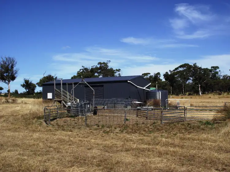 Fourth view of Homely rural property listing, 5674 Lake Leake Road, Swansea TAS 7190