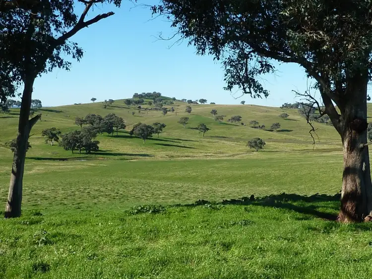 Third view of Homely rural property listing, 429 Coreinbob Siding Road, Ladysmith, Wagga Wagga NSW 2650