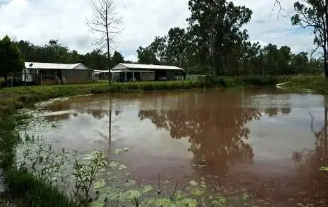 Third view of Homely house listing, 172 Pine Mountain Quarry Road, Pine Mountain QLD 4306