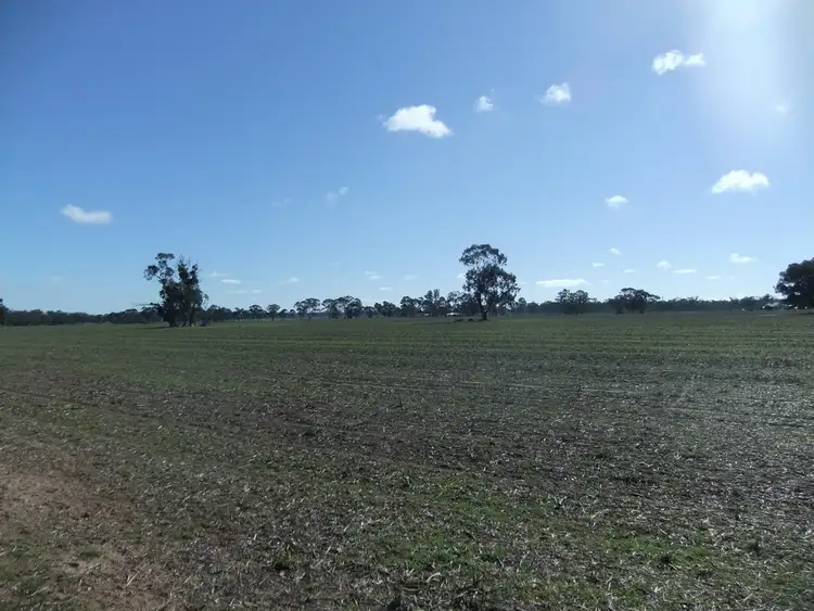 Third view of Homely rural property listing, 70 Cains Road, Natte Yallock VIC 3465