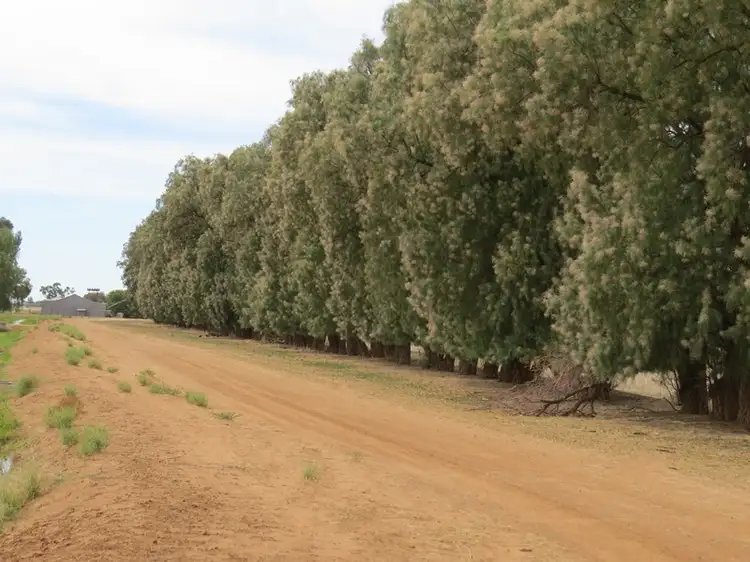 Sixth view of Homely rural property listing, 1055 ARATULA ROAD, Deniliquin NSW 2710